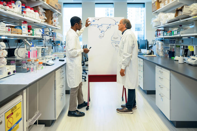 Not a new AI center: Seattle Children's launches $10M pediatric ...