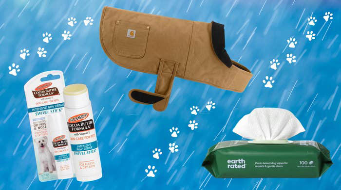 9 dog-walking essentials for cold and rainy weather