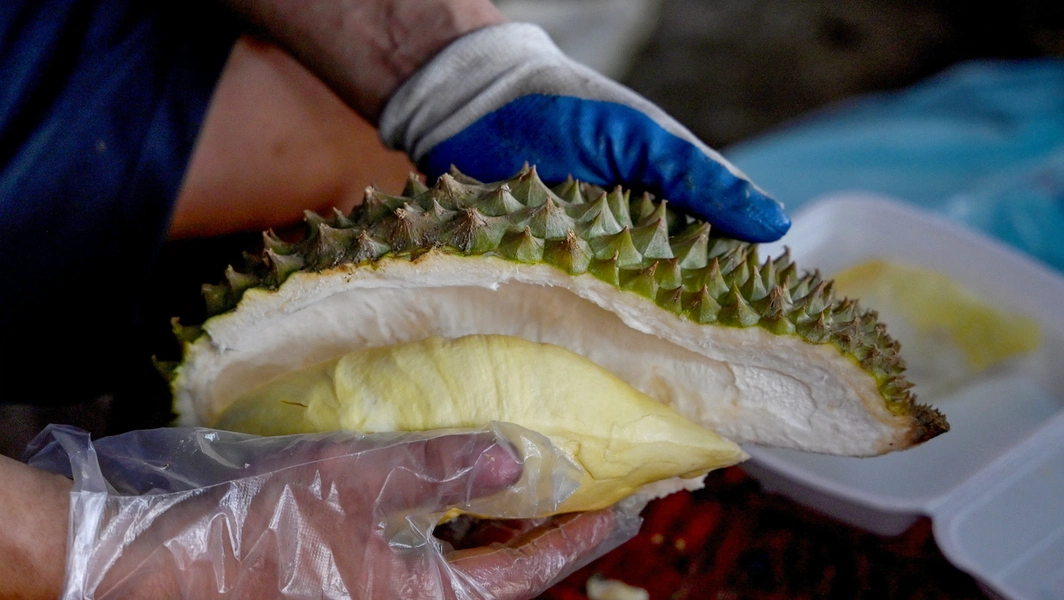 Durian lovers guide to the king of fruits