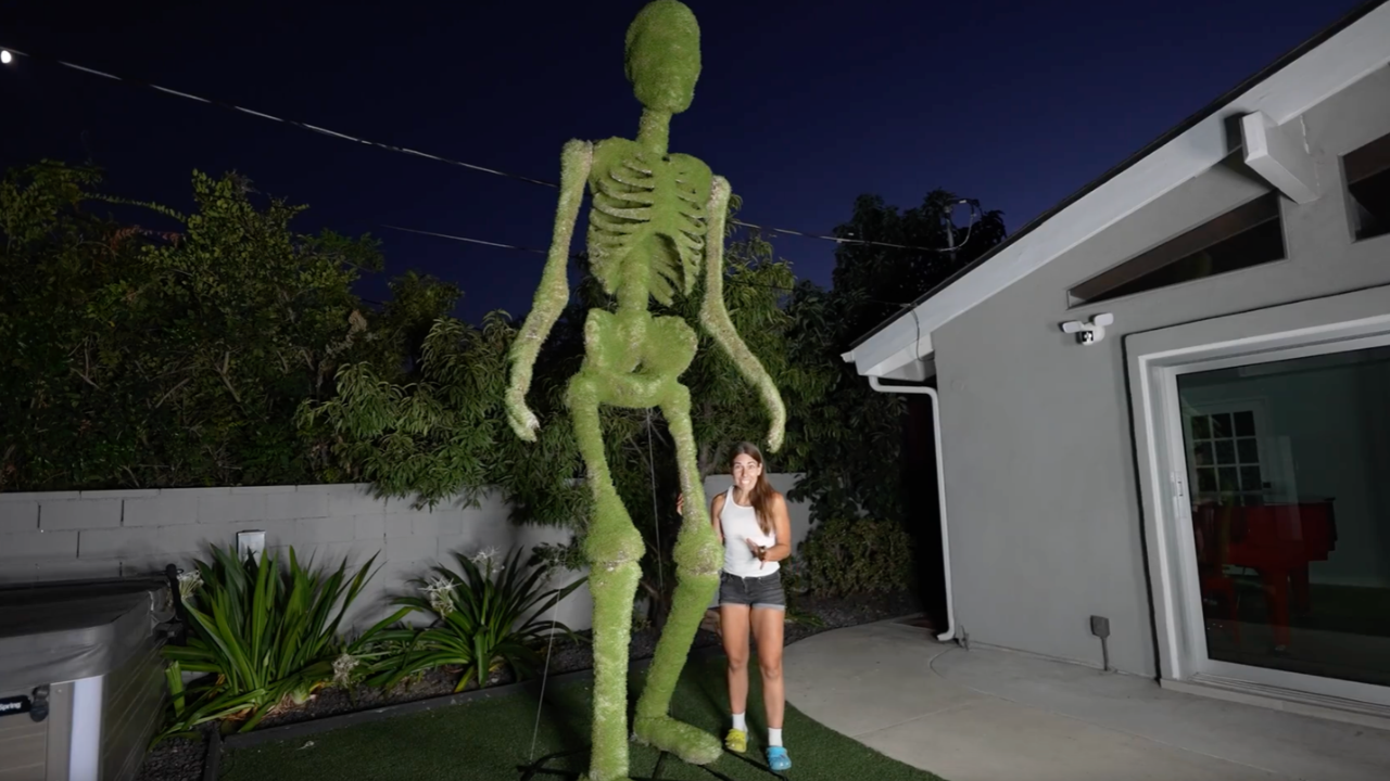 What does a 12-foot chia pet skeleton look like fully grown?