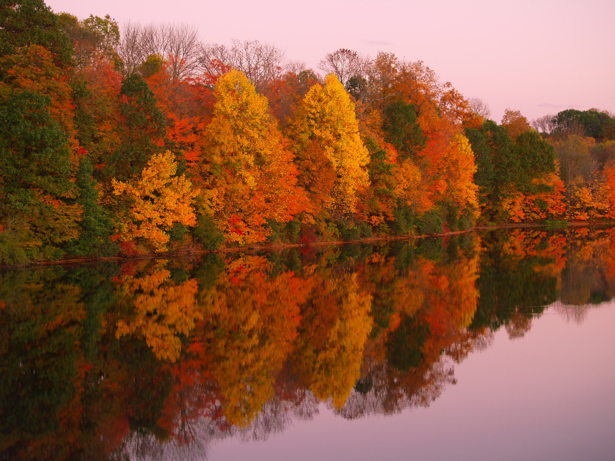 Farmers' Almanac predicts Thanksgiving weather forecast