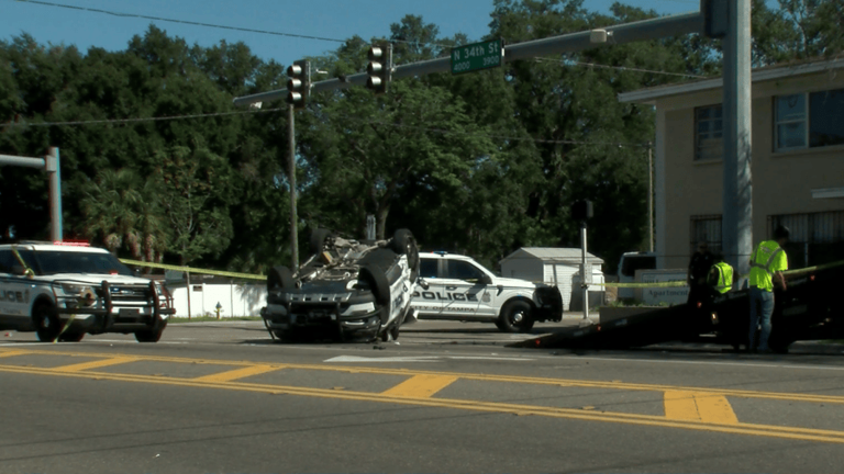 HART bus driver cited for crashing into Tampa police cruiser