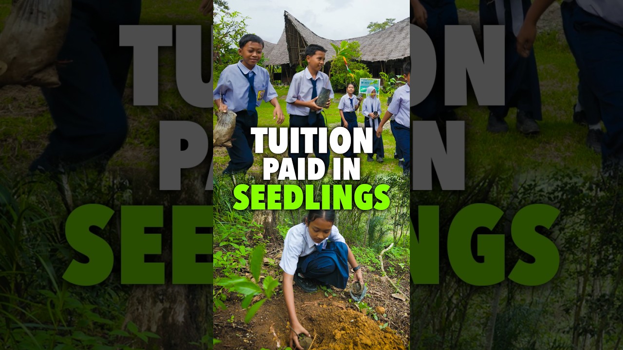 This school accepts trees instead of tuition!