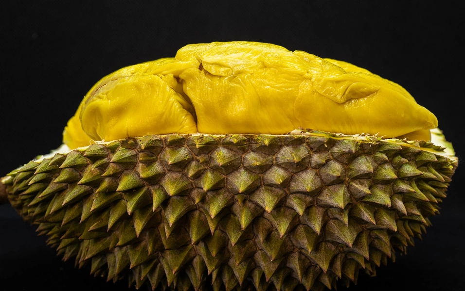 Durian lovers guide to the king of fruits