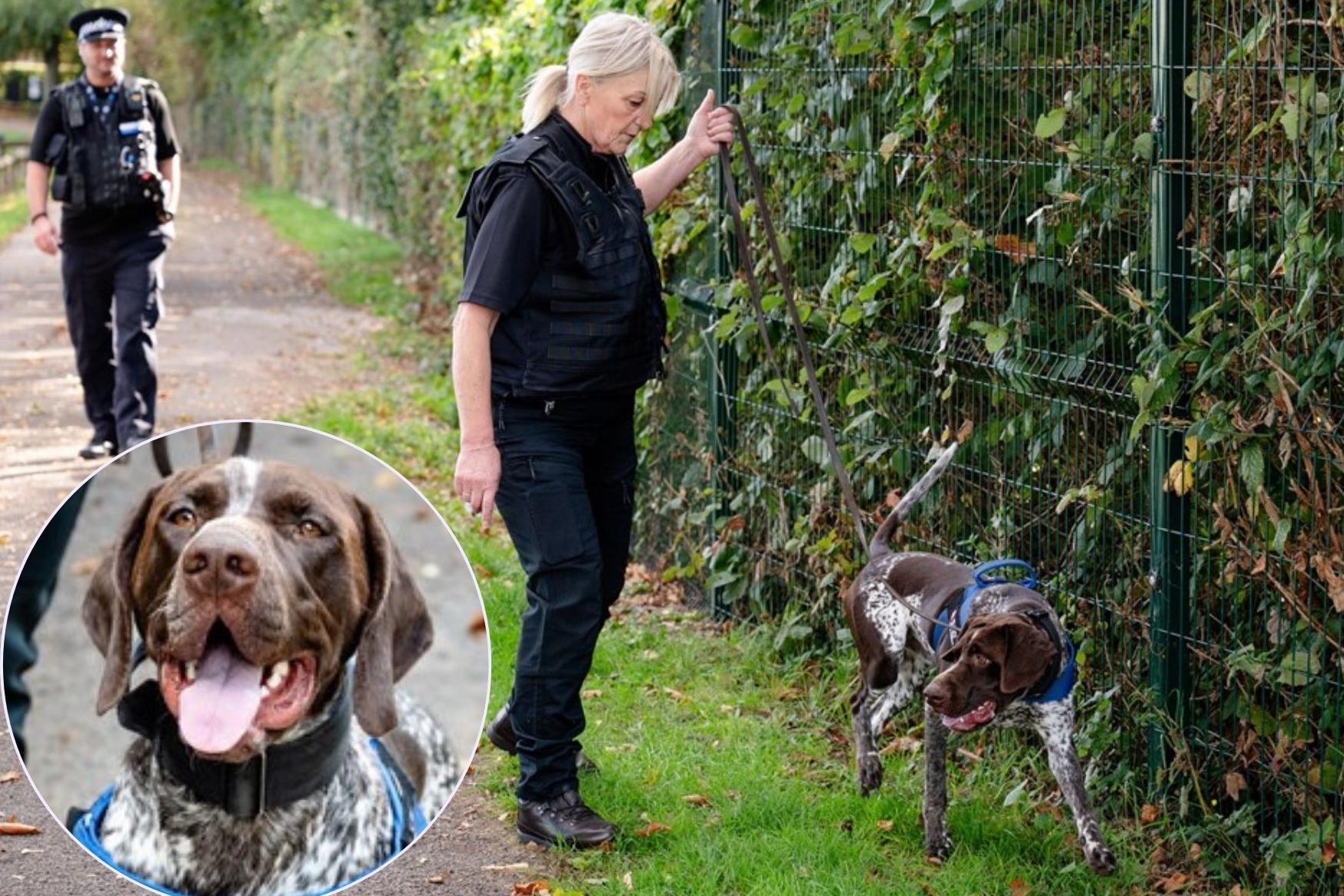 Rushden police use knife detection dog in crime crackdown