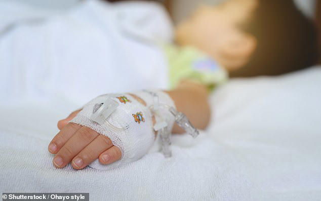 Mother's £18,000 spend on legal fees to stop violent ex accessing ...