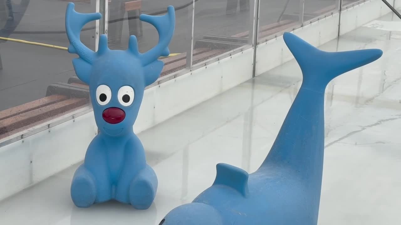 Winterland ice skating rink returns to Heartwood Preserve with earlier ...