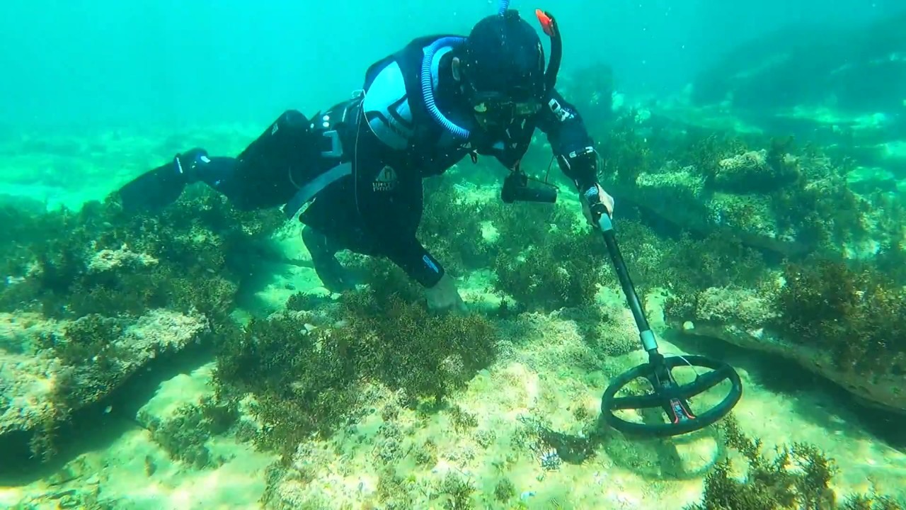 A metal detectorist encounters a spotted wobbegong shark