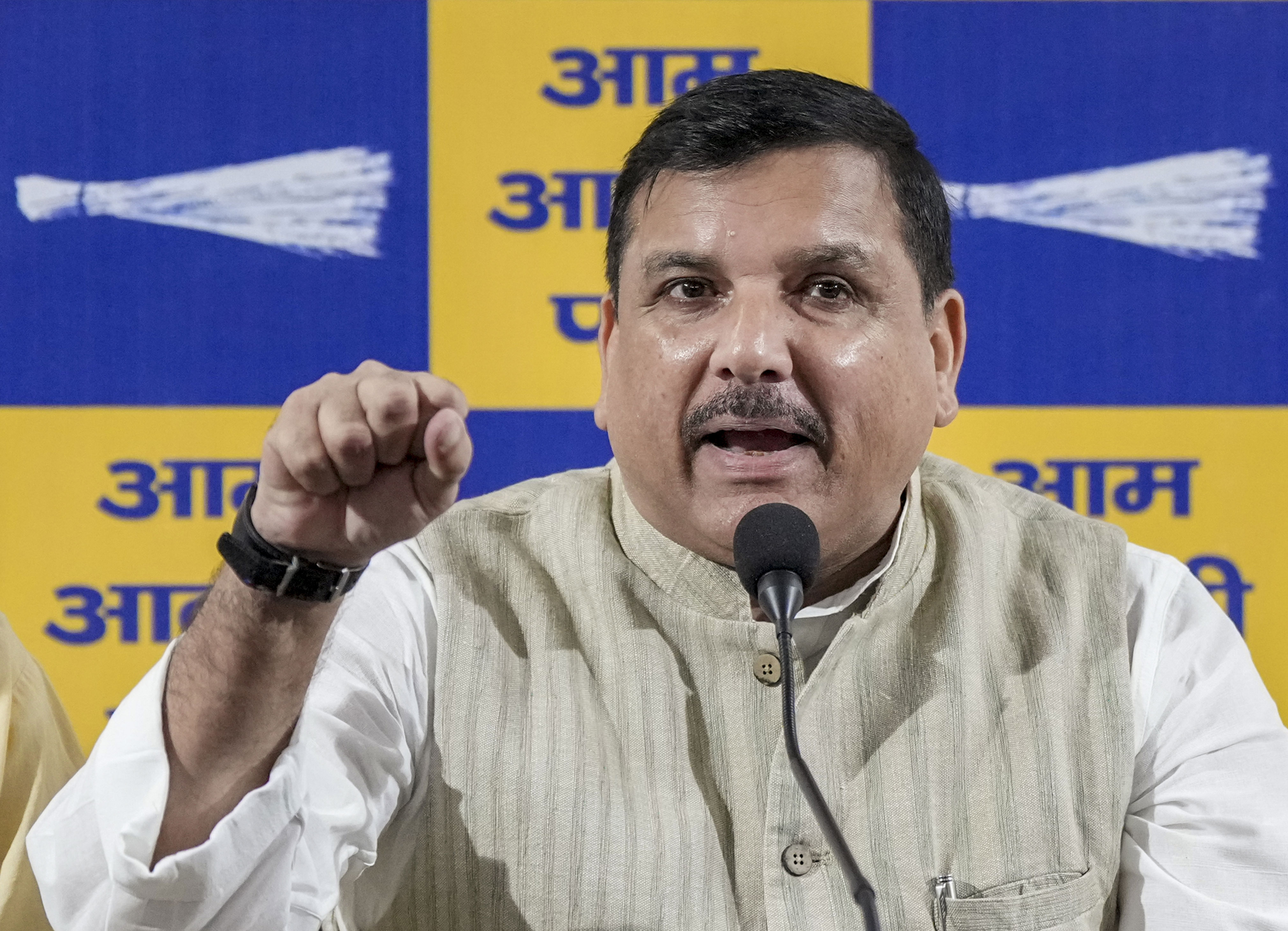 AAP's Sanjay Singh flags bizarre voter entries, calls UP CEO BJP agent