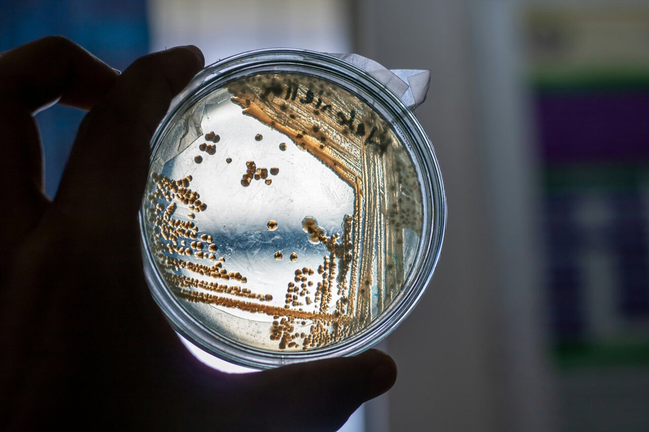 Airborne ESKAPE pathogens at inner-city clinic resist advanced antibiotics