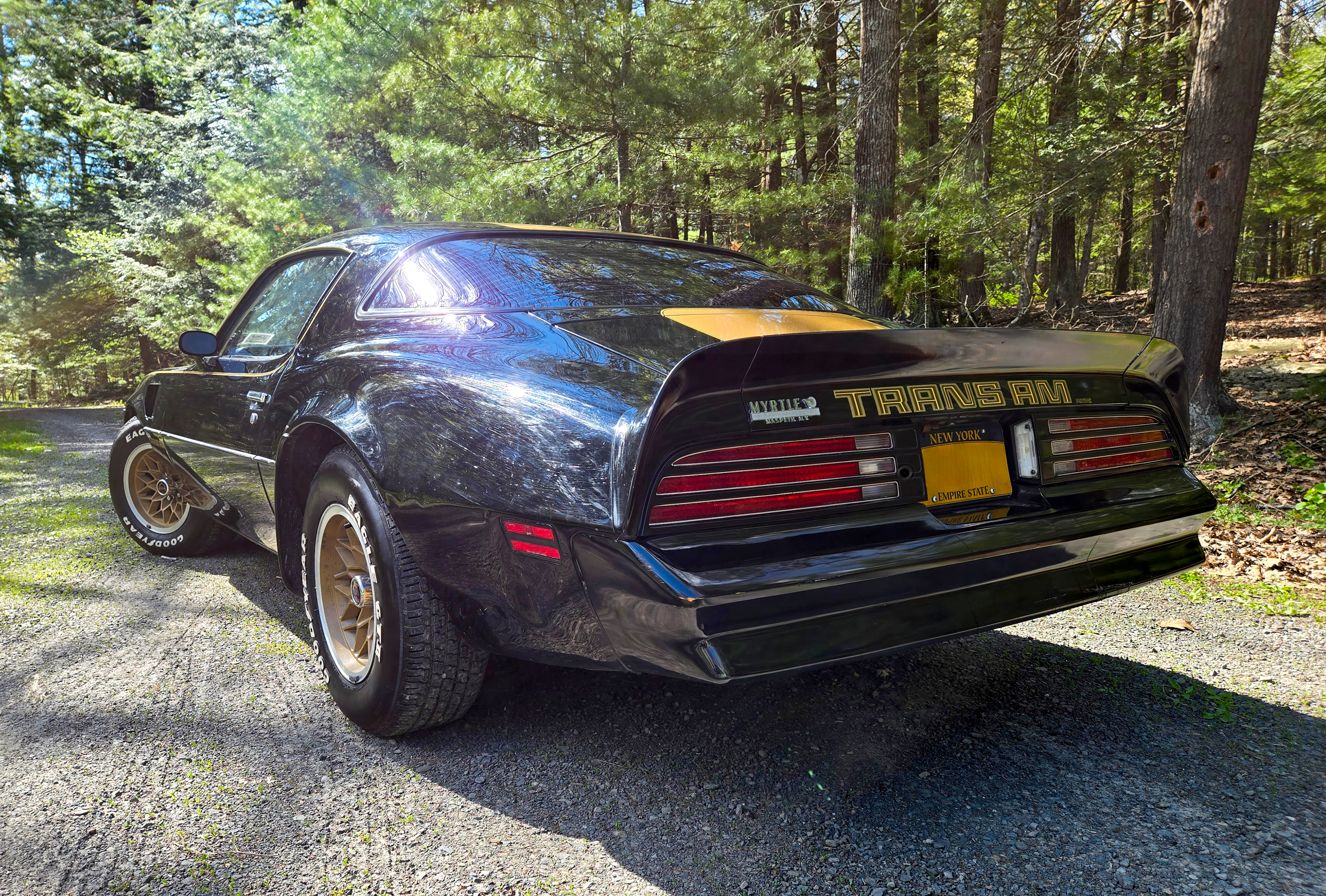 Malaise-era hero: W72 Trans Am from a famous drag-racing dealer