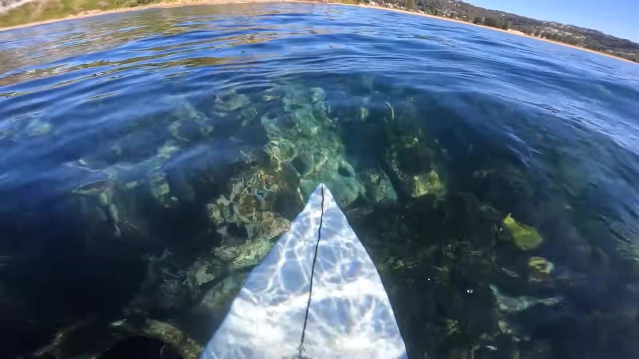 Clear reef water reveals urchins during a surf session