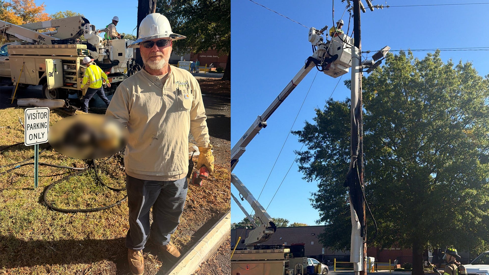 Only in Monroe: Squirrel blows transformer, sparks pole fire outside ...