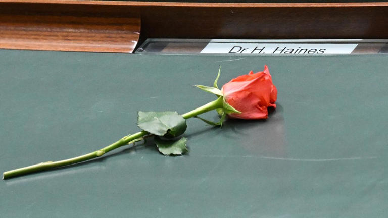 Security reviews ramp up for MP offices on attack fears