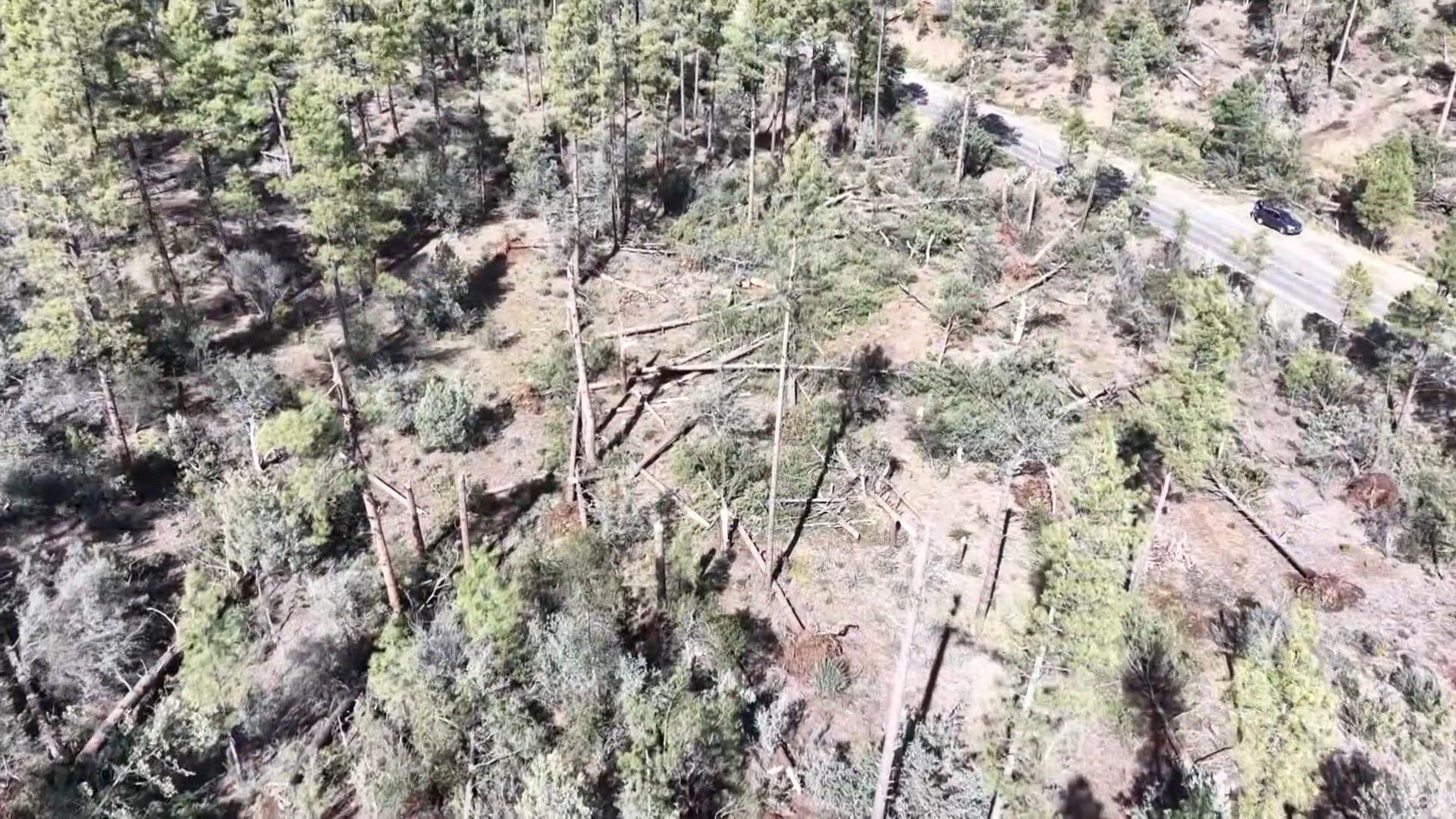 National Weather Service confirms 2 tornadoes hit Arizona