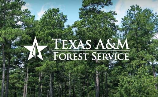 Texas A&M Forest Service awards $19.6 million to volunteer fire departments