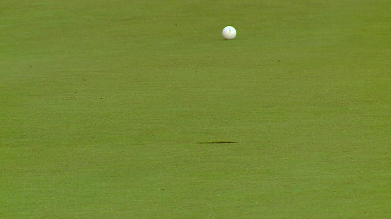 Quiet, natural course: Golf club planned in Ada Township