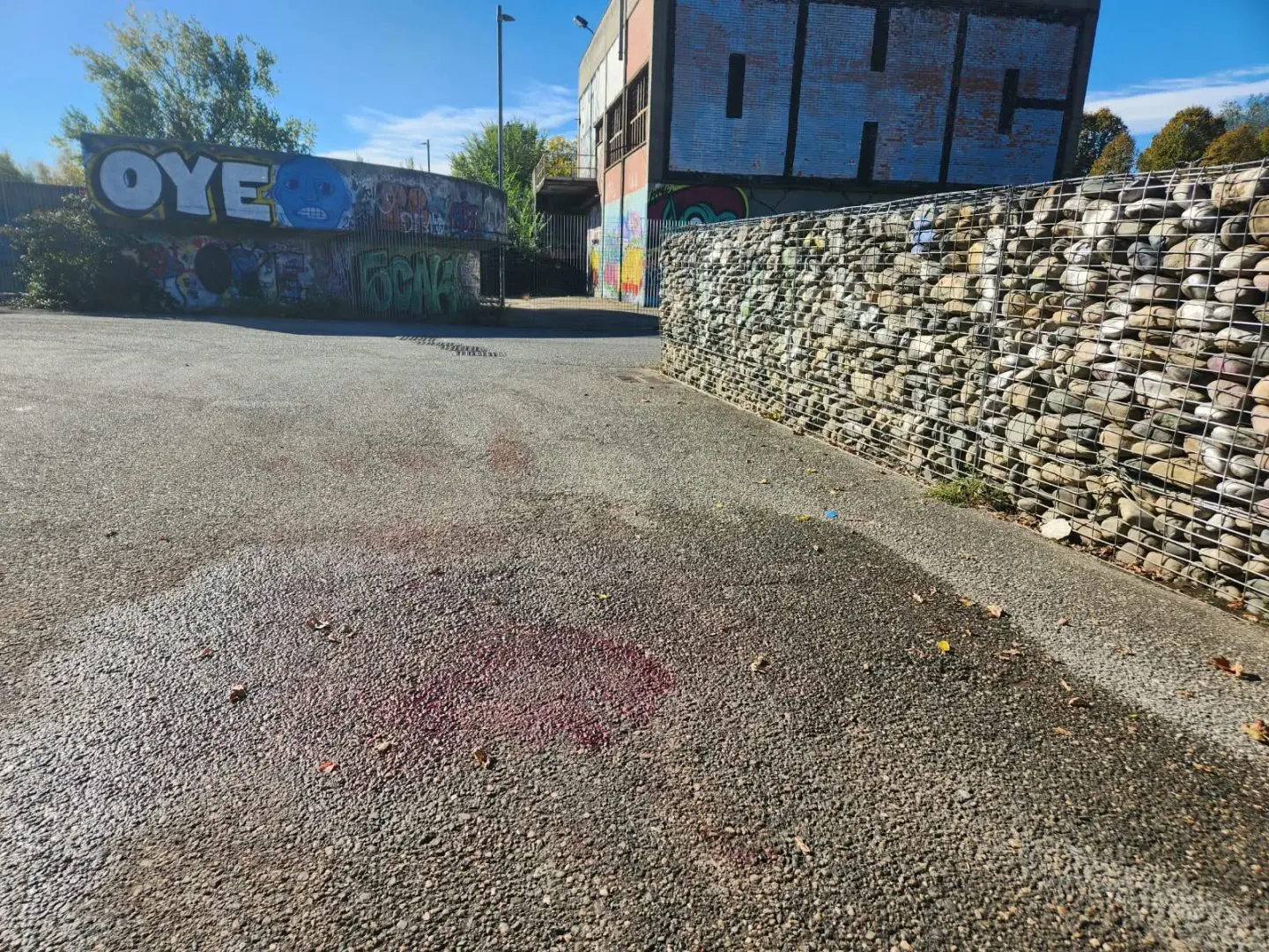 Giovane accoltellato e ucciso al parco Dora a Torino, fermato il ...