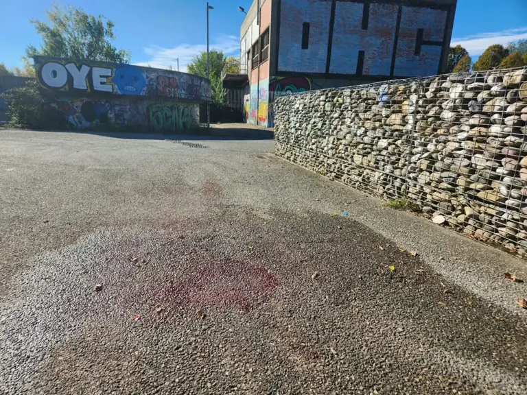 Giovane accoltellato e ucciso al parco Dora a Torino, fermato il ...