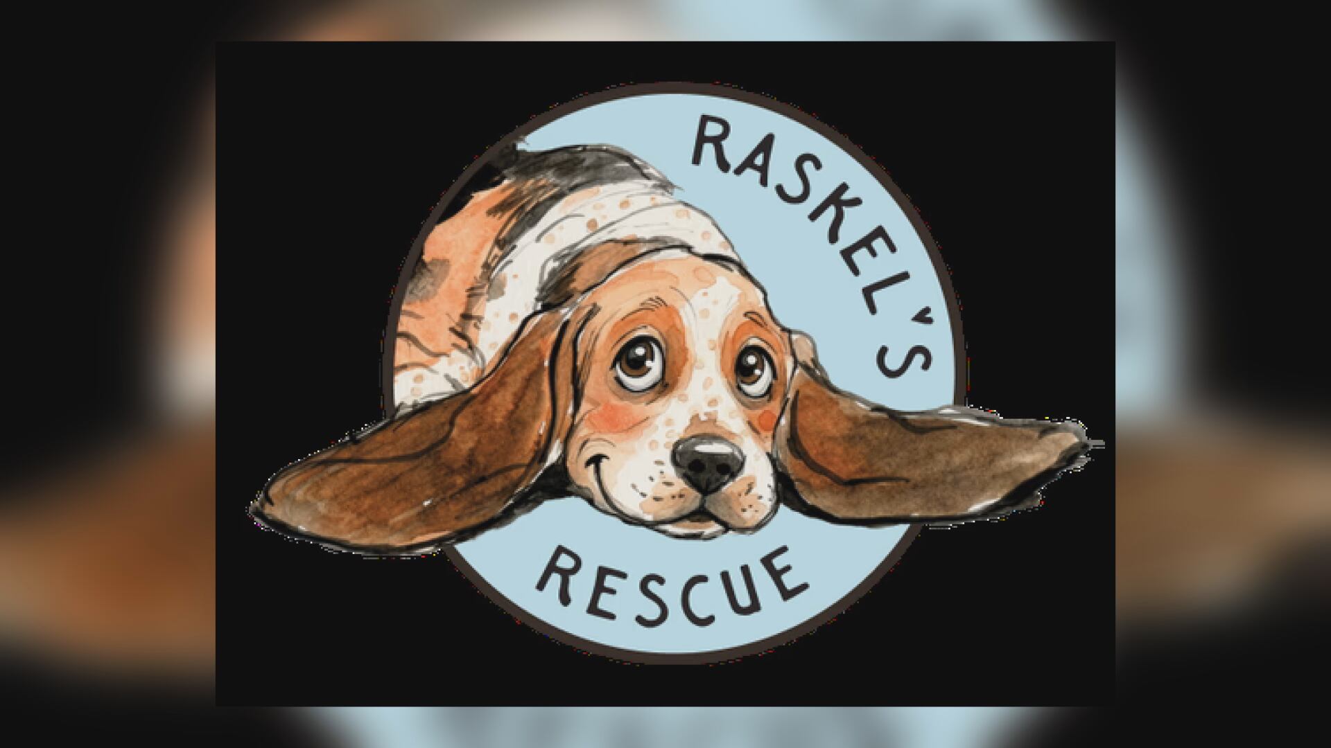 Halloween goes to the dogs at Raskel’s Rescue birthday bash