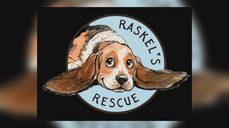 Halloween goes to the dogs at Raskel’s Rescue birthday bash