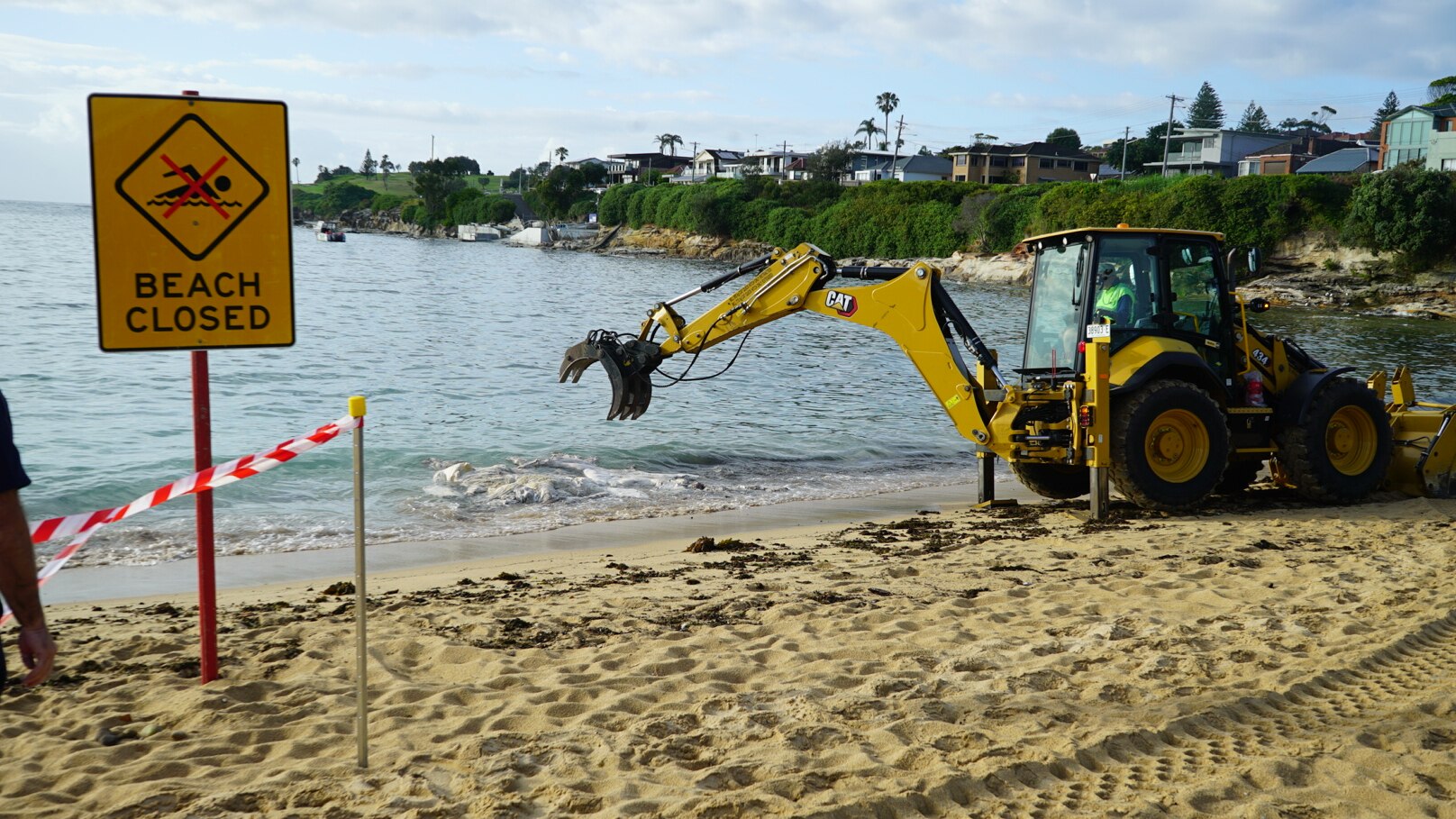 Decomposed whale carcass closes Malabar Beach in Sydney's east