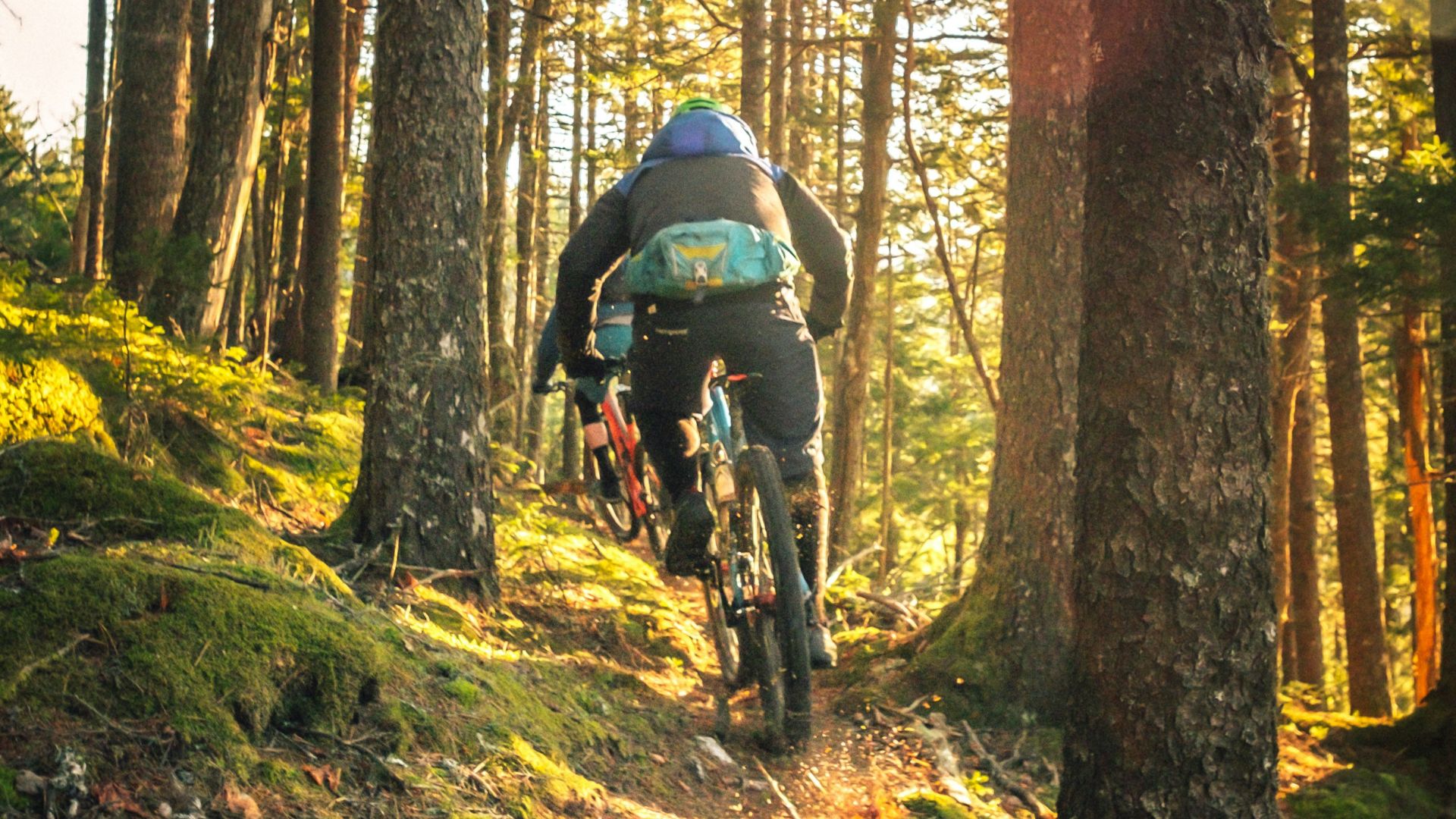 20 tips for choosing the best bicycle