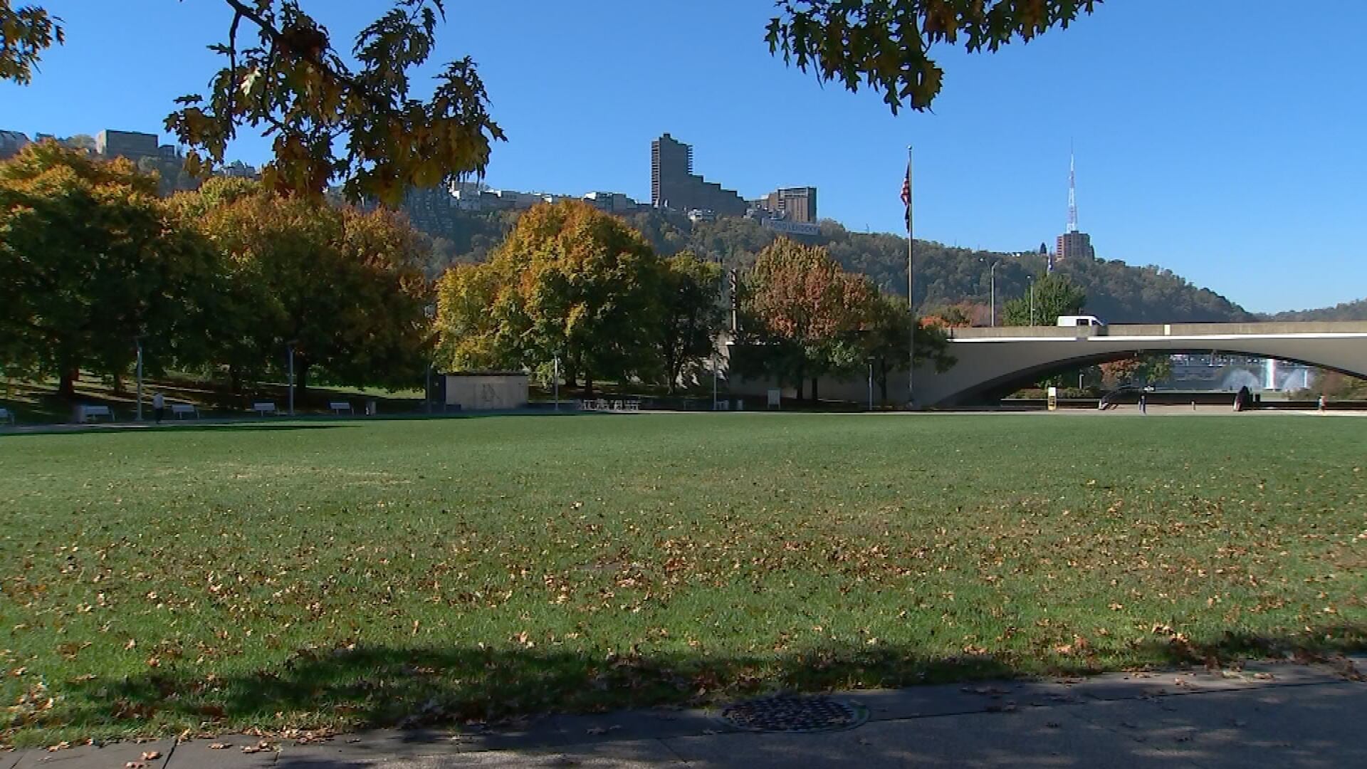 Masked teens rob, assault couple in Point State Park