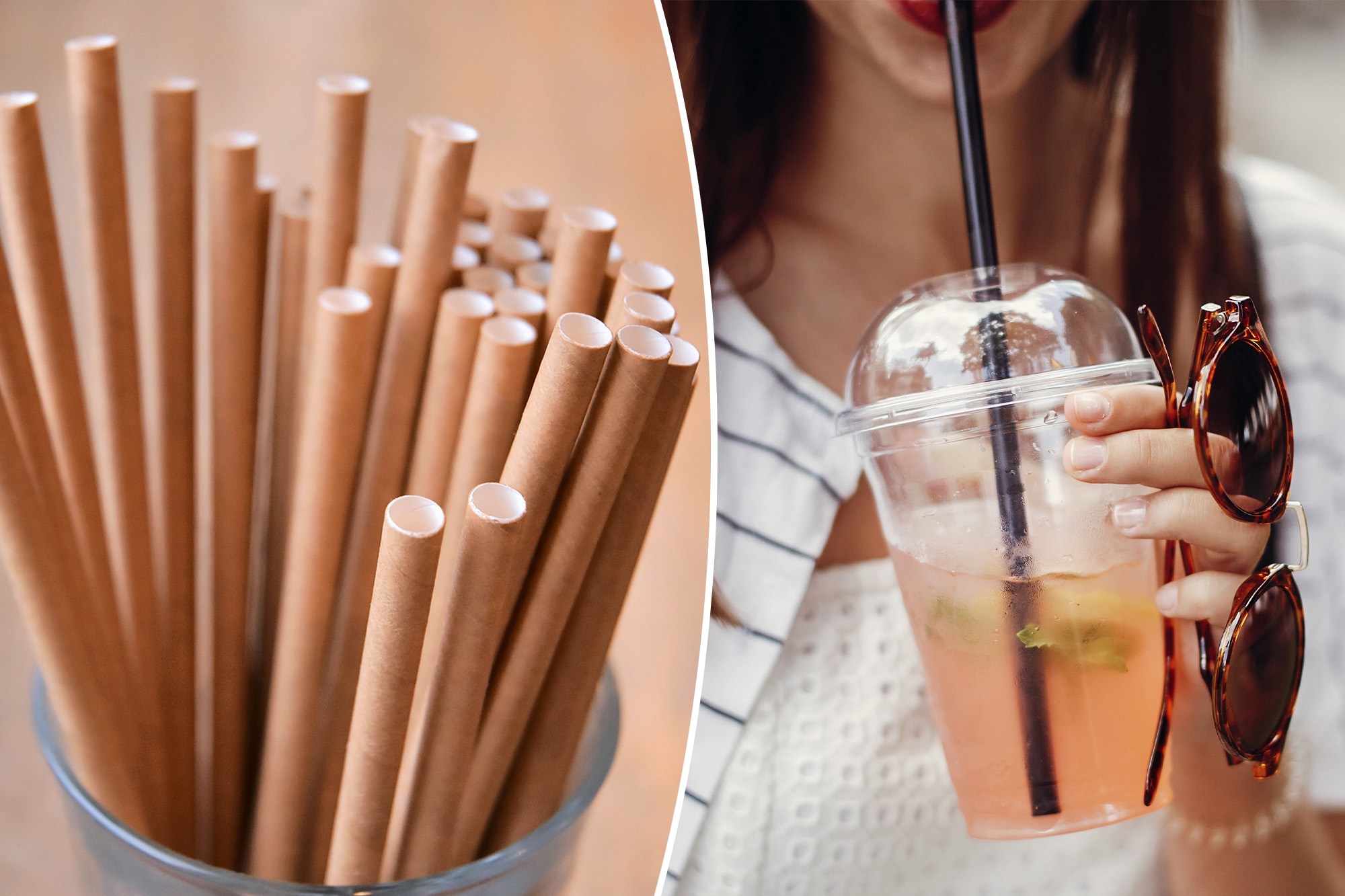 Paper straws worse for the environment than plastic ones: study