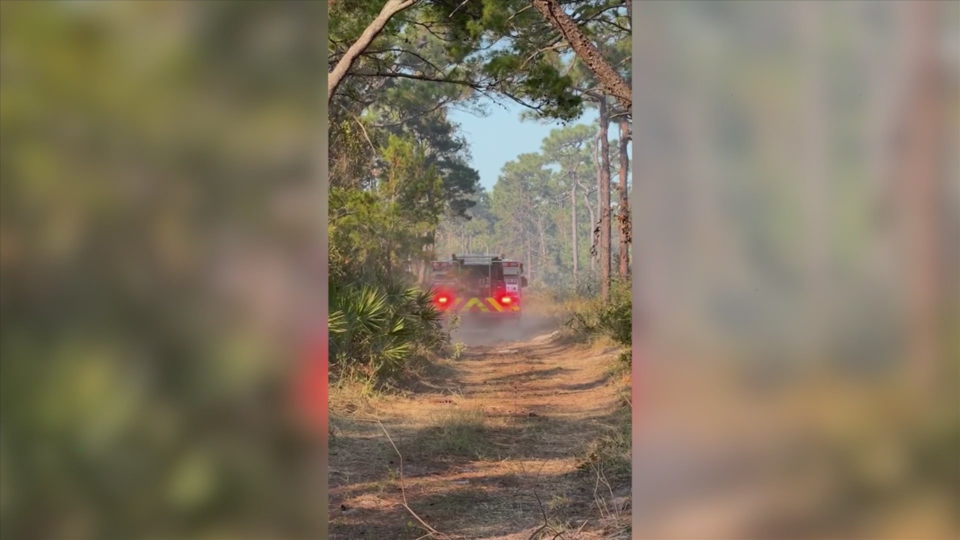 4 acre fire in Point Washington State Forest reaches 95% containment