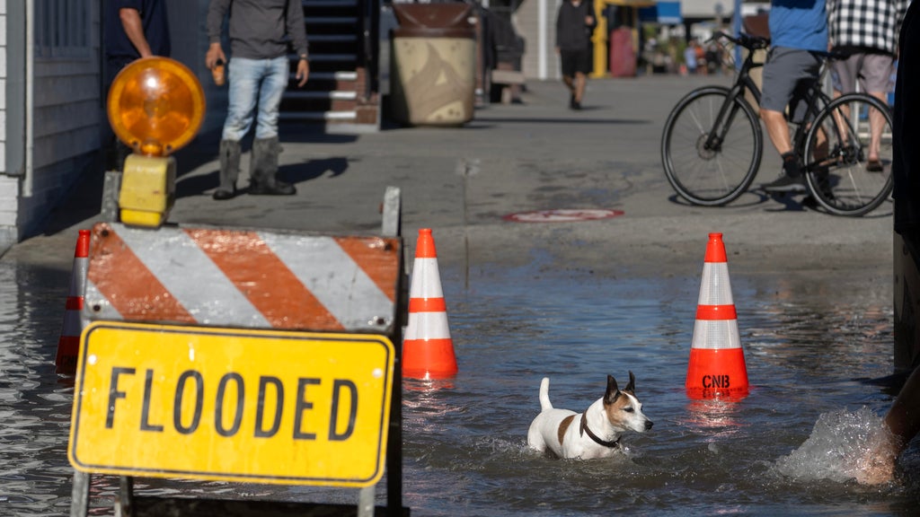Newport Beach residents, business owners hit by record-setting high tides