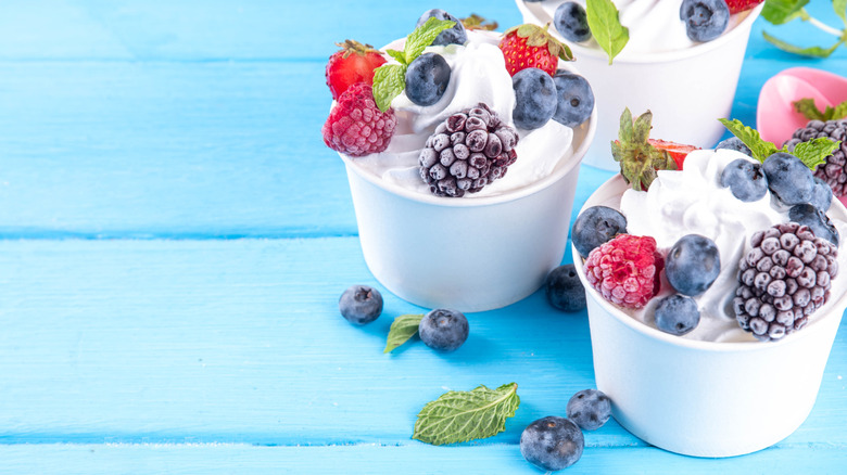 The hands down best frozen yogurt spot in every state