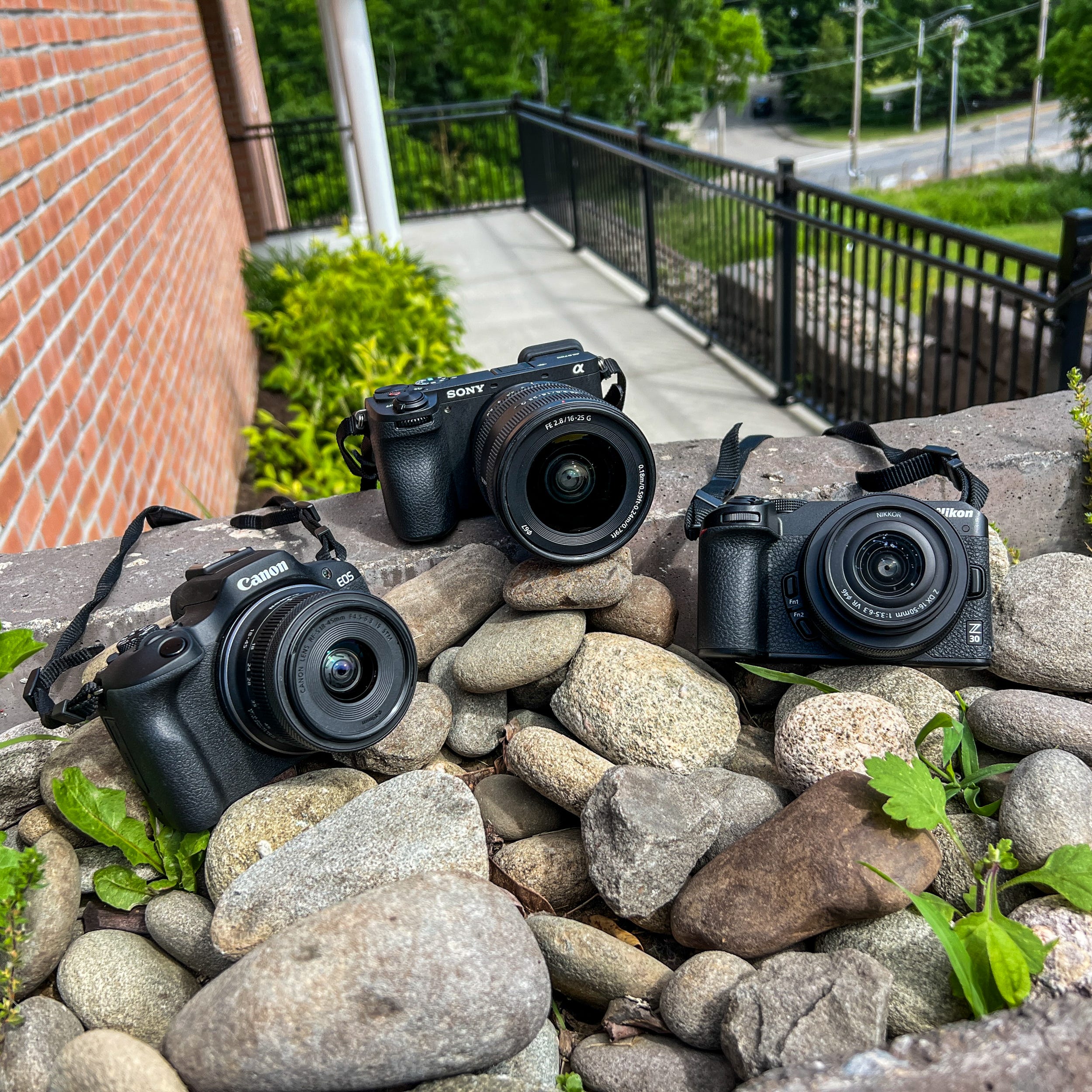6 best cameras for beginners looking to capture stunning photos