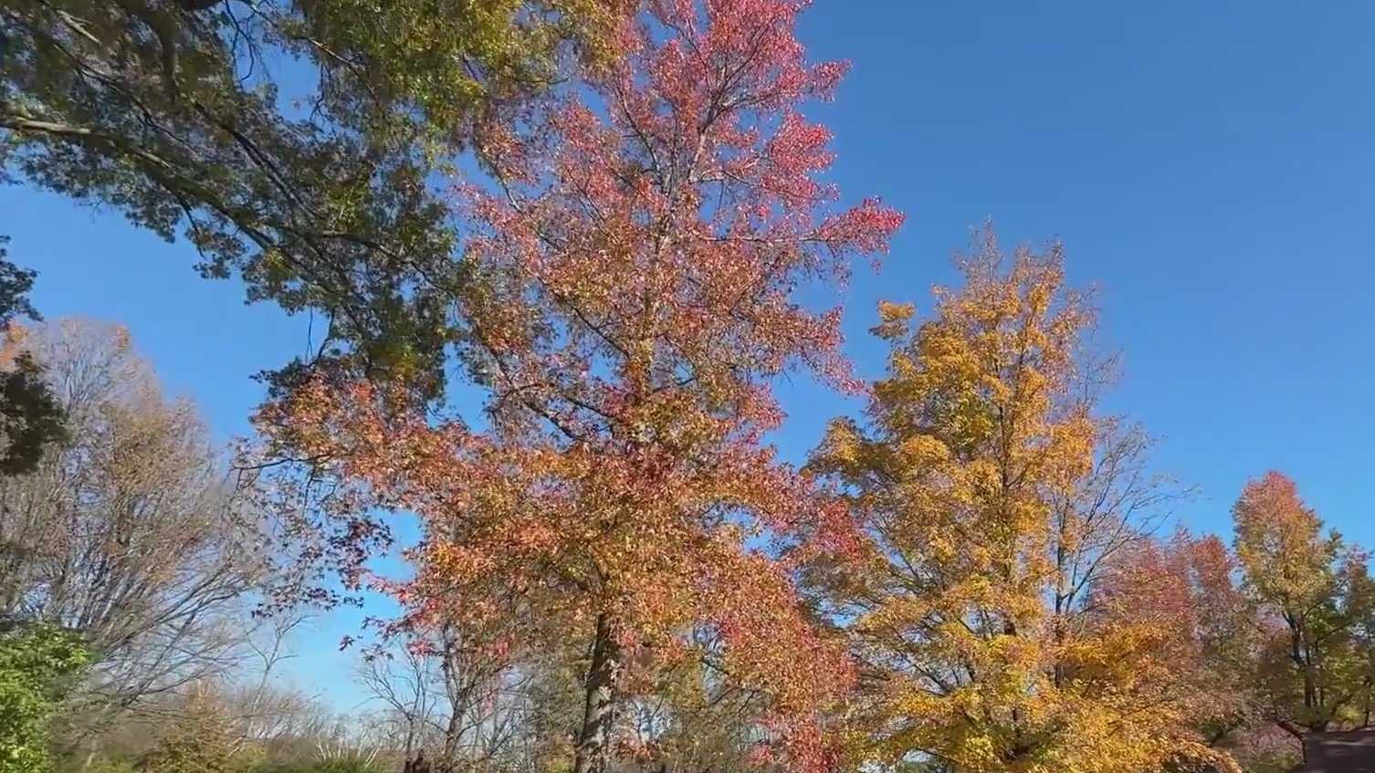 Beautiful weather compliments NJ fall foliage viewing