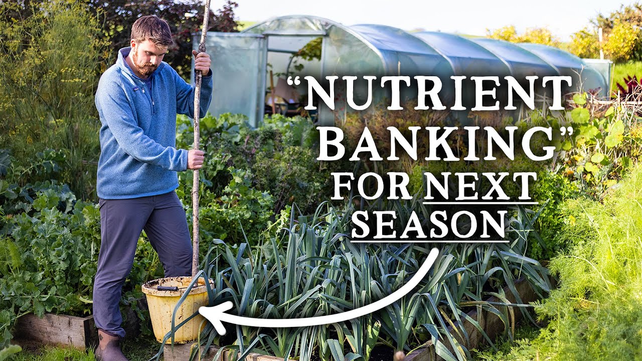 Essential autumn tasks for a thriving garden