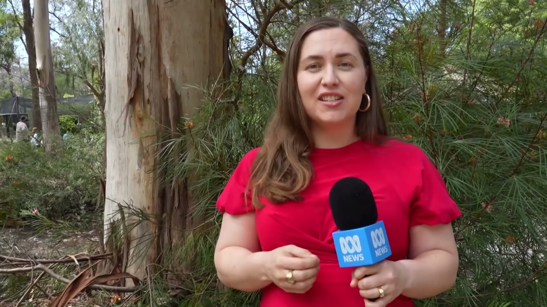 Students competing in annual bird call competition