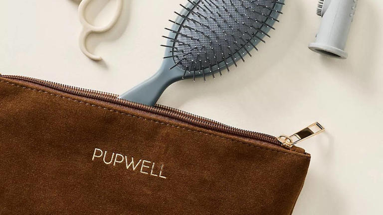 This suede puppy grooming kit makes at-home grooming look surprisingly chic