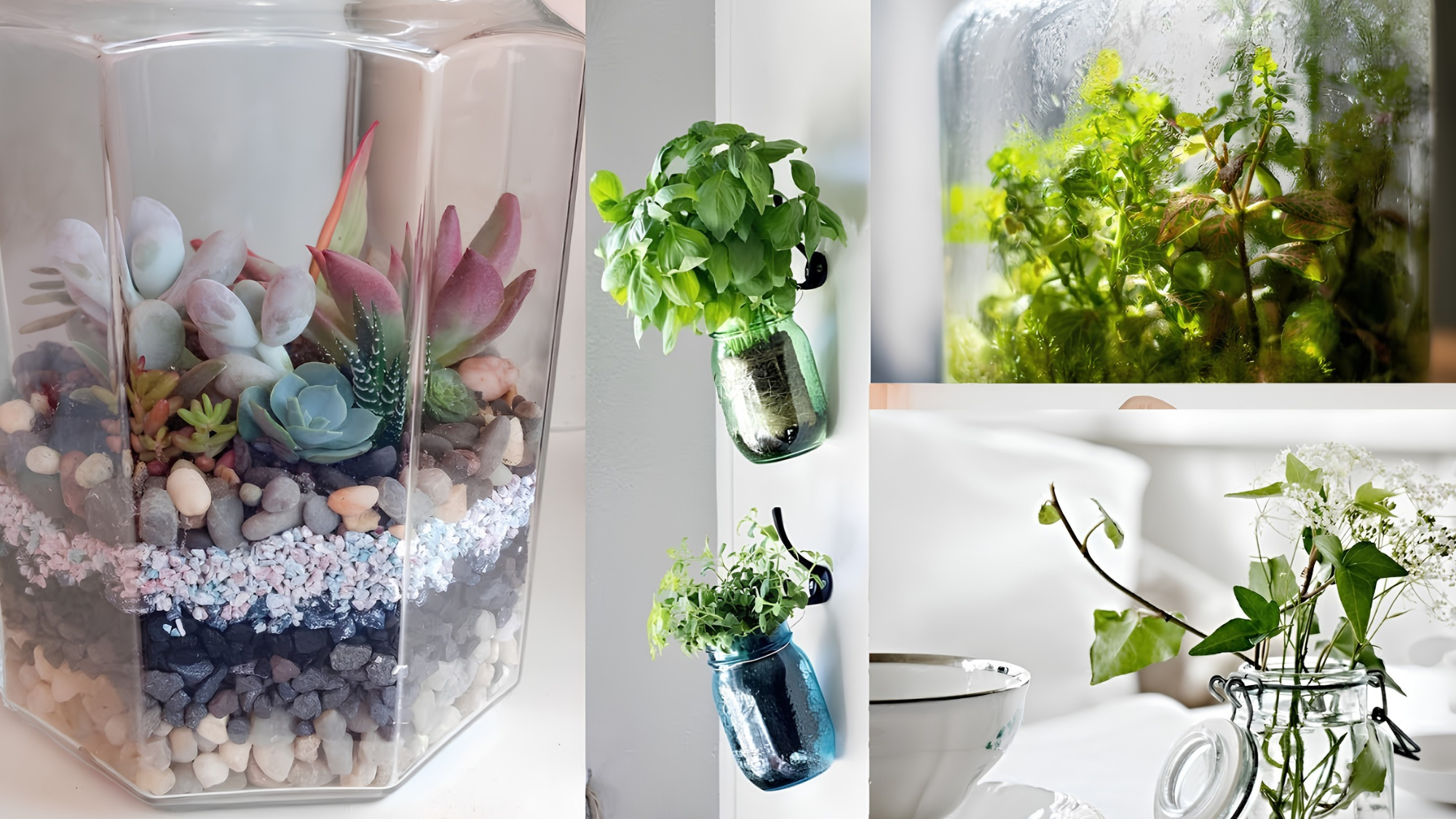 Gorgeous plant arrangements to elevate your glass containers