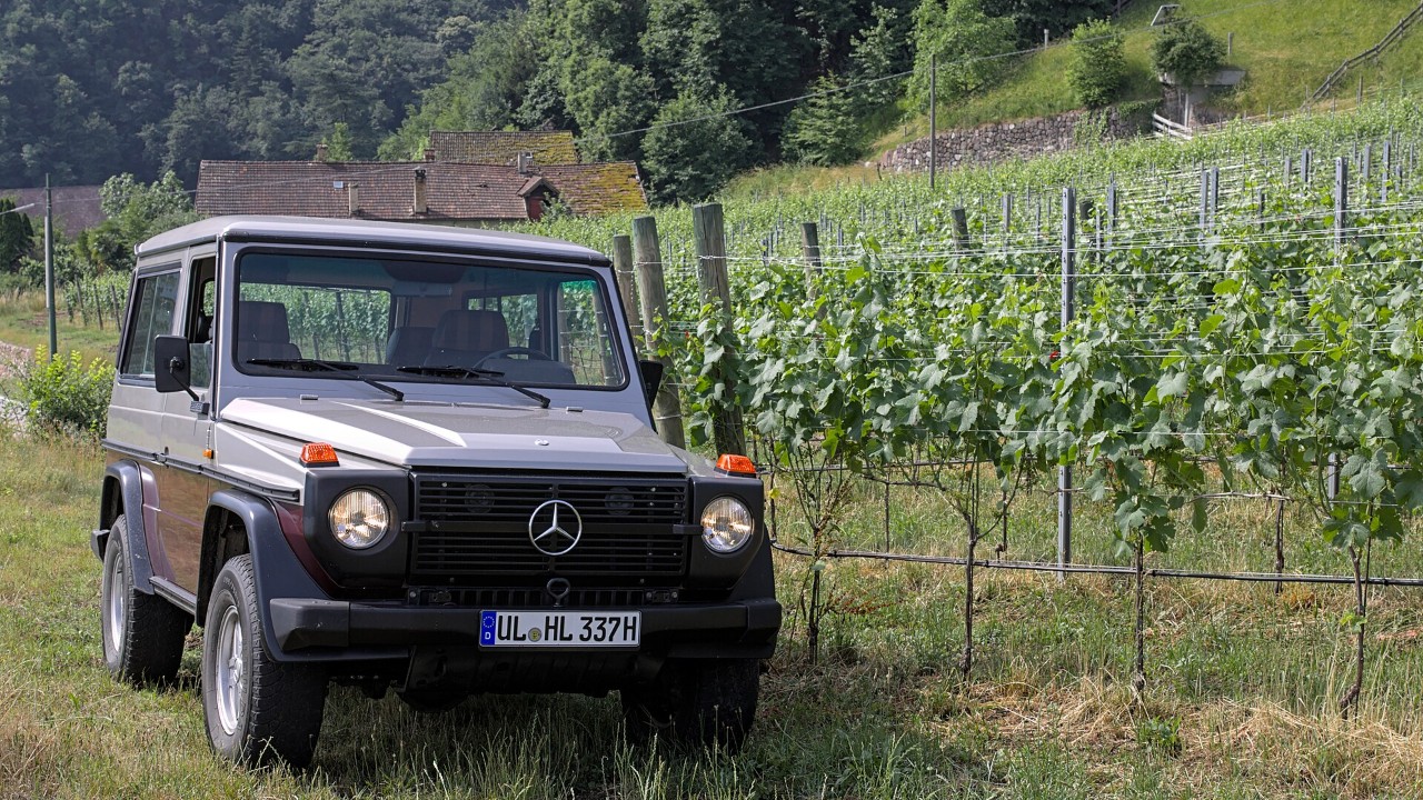 18 off-roaders that seem nearly impossible to kill