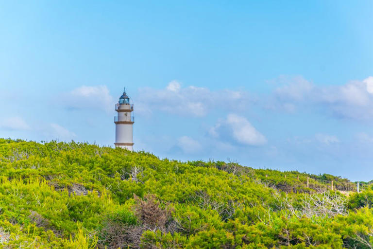 Cap de ses Salines: Leuchtturm, einsame Strände und die wilde Südküste ...