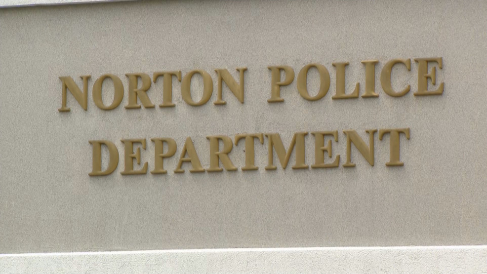 Child seriously injured by falling tree branch in Norton