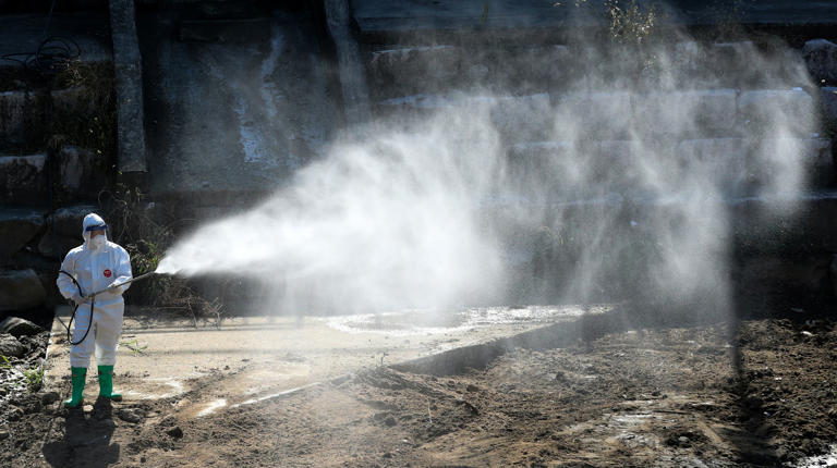 Autumn mosquito surge in Seoul defies seasonal decline