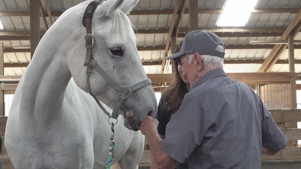 Pleasanton horse ranch leads guided interactions for seniors with ...