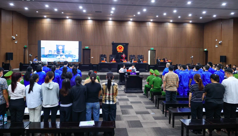 Xin giám định tâm thần cho Mr Pips: Chủ tọa đặt câu hỏi khiến mẹ siêu lừa lúng túng, bị hại đồng loạt vỗ tay