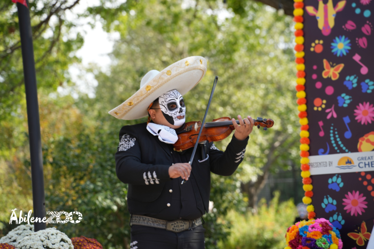 Abilene Zoo to host Día de los Muertos celebration November 1st and 2nd