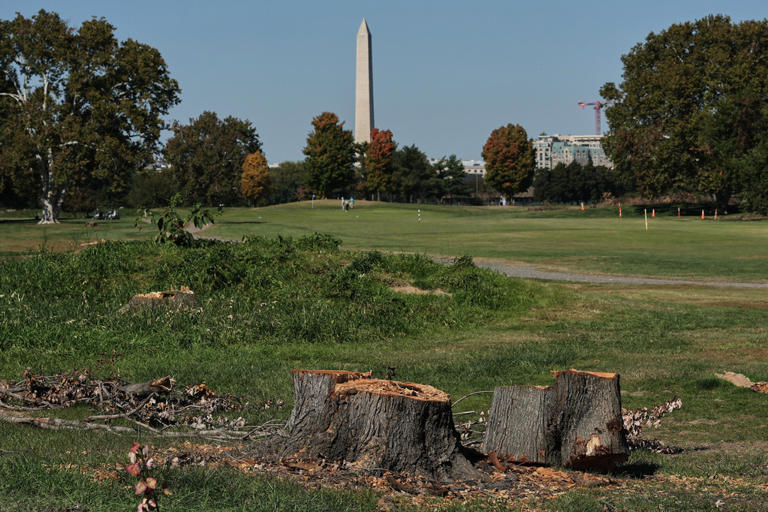 Judge extends court-ordered block on Trump’s renovation plans for ...