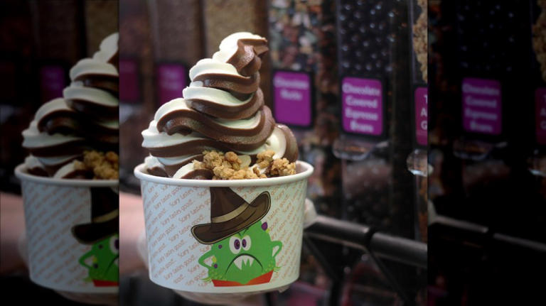 The hands down best frozen yogurt spot in every state