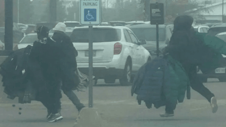 Flint Twp. police shoplifting task force blitz results in 15 arrests
