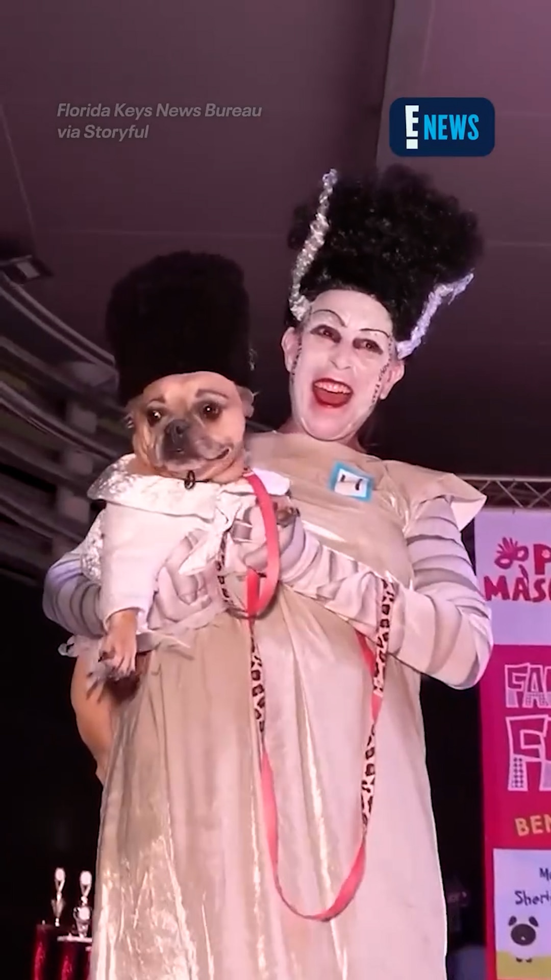 These pets can be our guest this Halloween