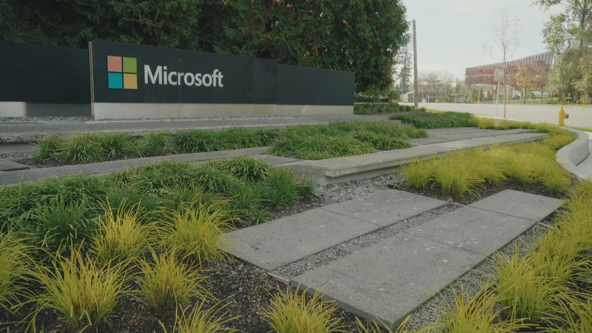 Microsoft to reduce global workforce by 25%, offering buyouts to employees